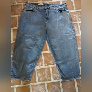 Anthropologie Pilcro straight leg jeans size 20W